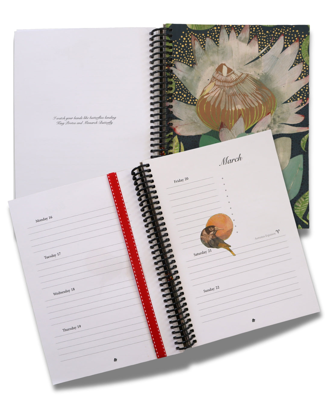Dana Kinter - Planner 2026