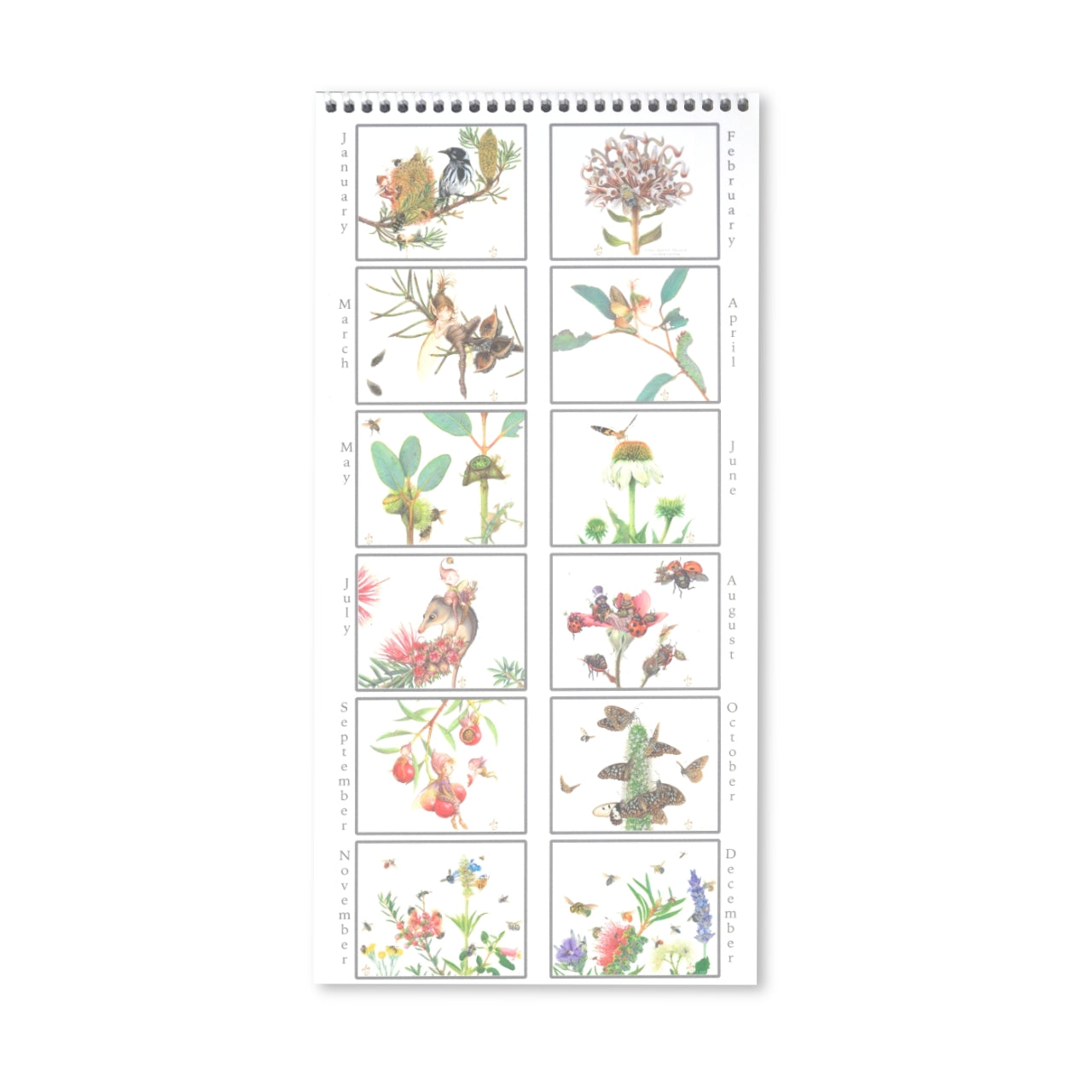 Linda Catchlove - Perpetual Calendar