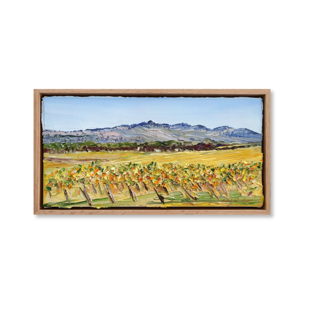 Barossa Autumn II