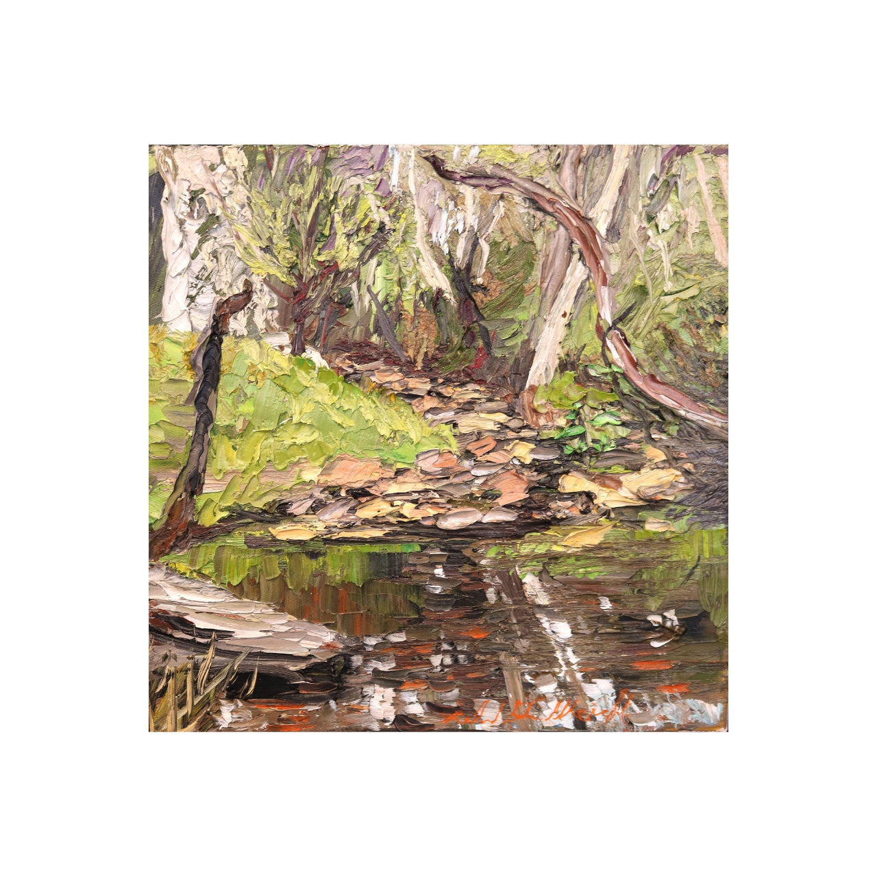 Bethany Creek
