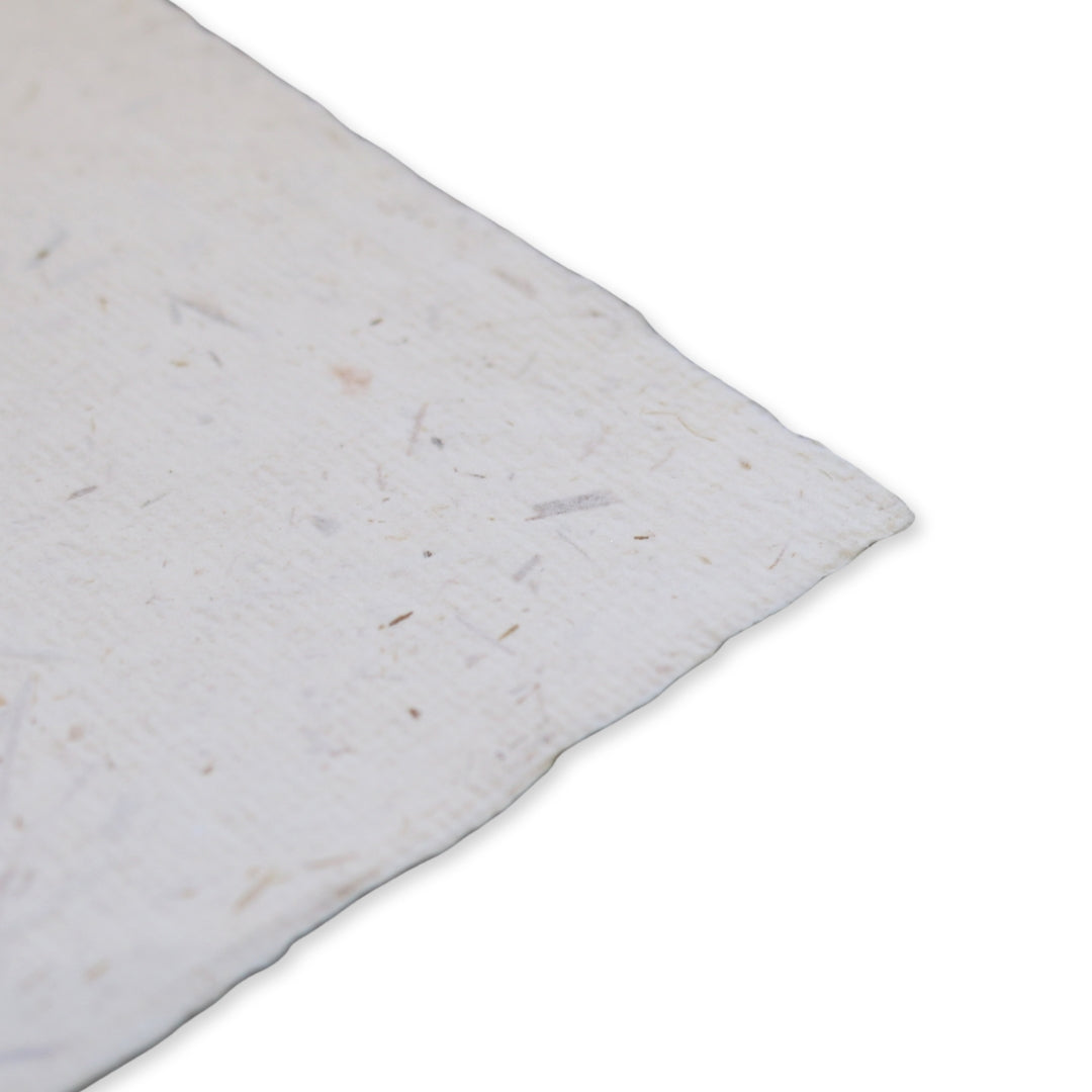 Sally Caston - Sml - Landscape