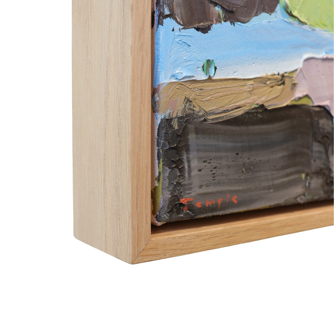 Lise Temple - Dividing Hills