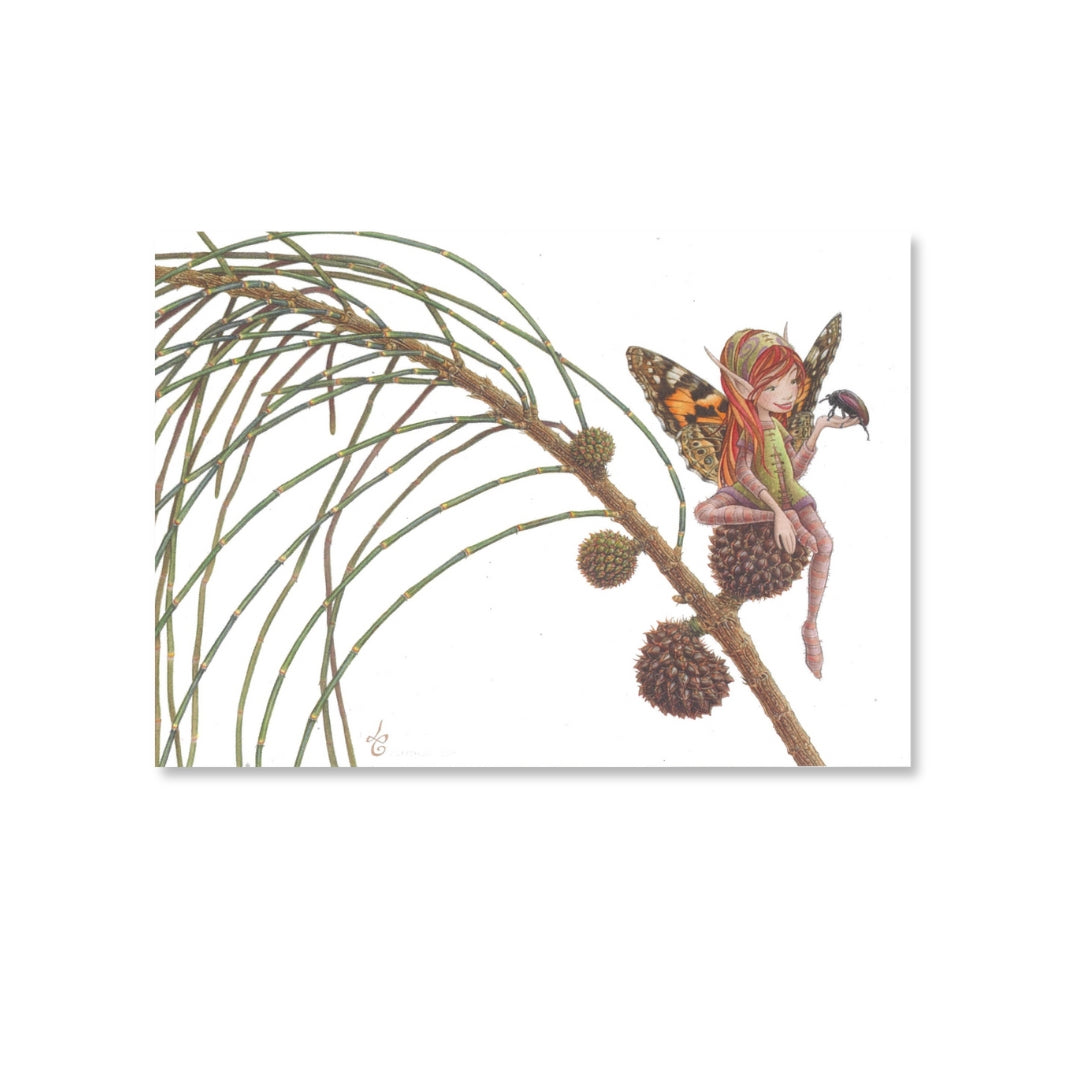 Linda Catchlove - Cards