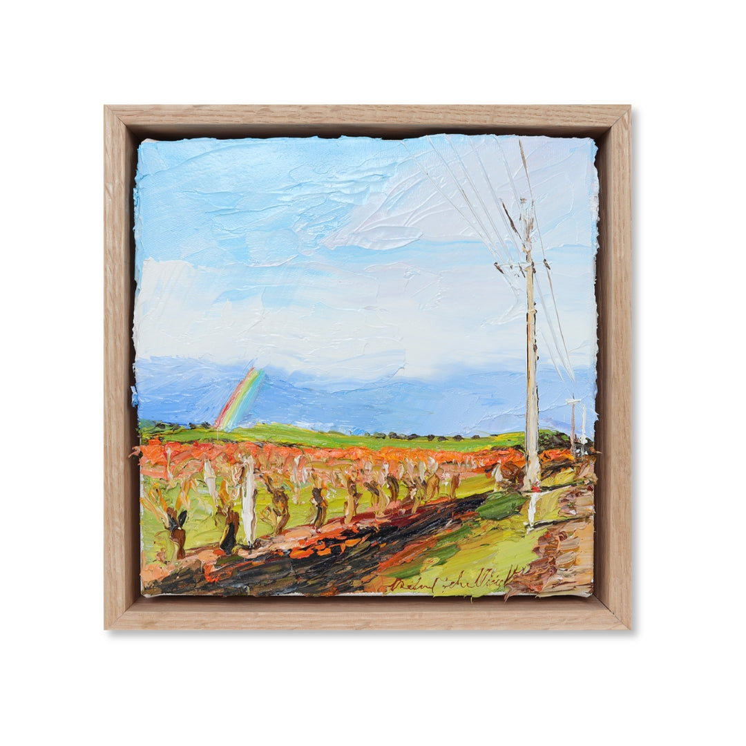 Barossa Autumn
