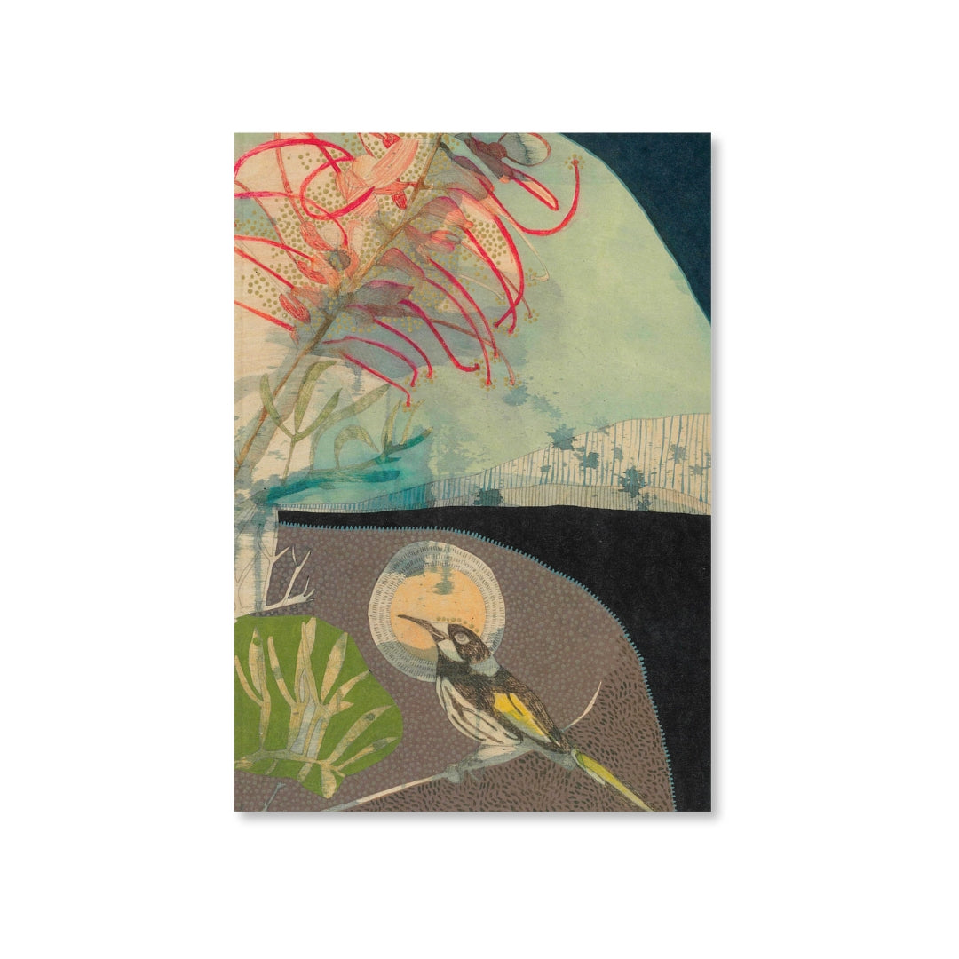 Dana Kinter - Notebook