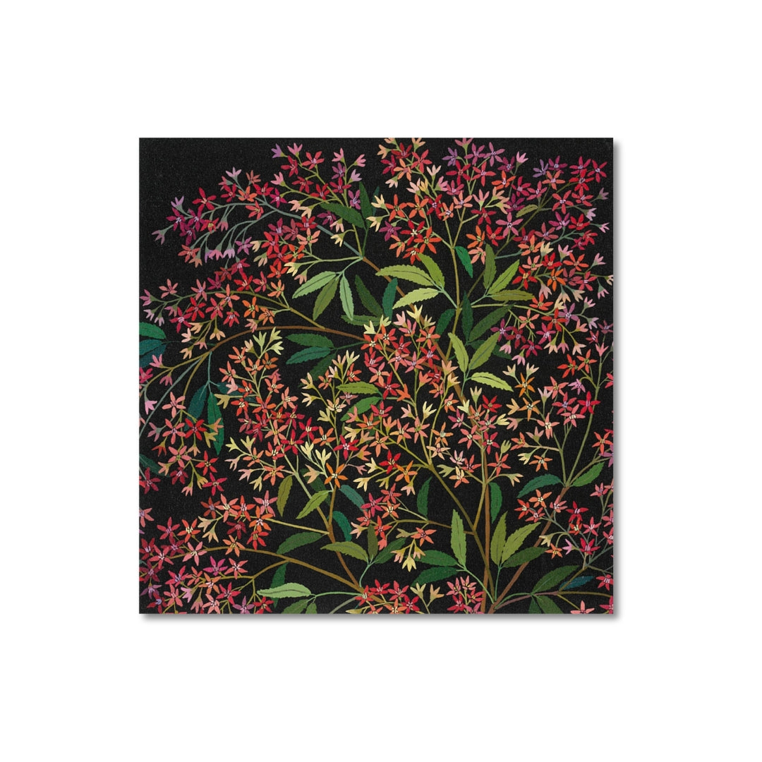 Irina Nazarova - Cards